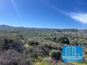 Pitsidia Kreta, Pitsidia: Grundstück am Ortsrand zu verkaufen Grundstück kaufen